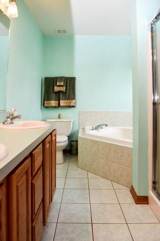 271 Spring Cove Dr, Beecher, IL 60401 photo 22