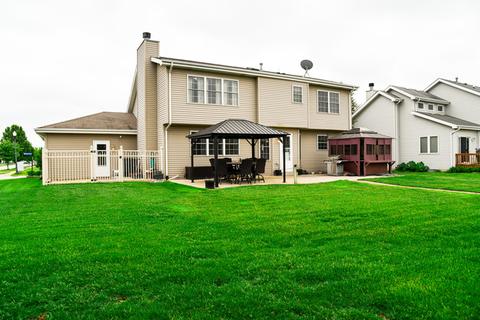 271 Spring Cove Dr, Beecher, IL 60401 photo 30