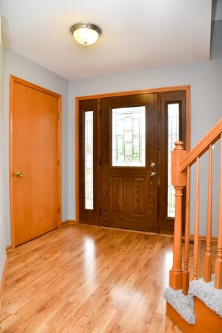 271 Spring Cove Dr, Beecher, IL 60401 photo 4