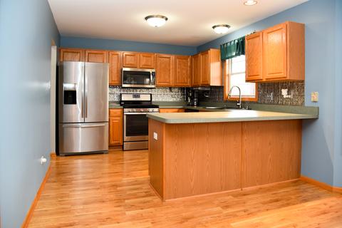 271 Spring Cove Dr, Beecher, IL 60401 photo 9