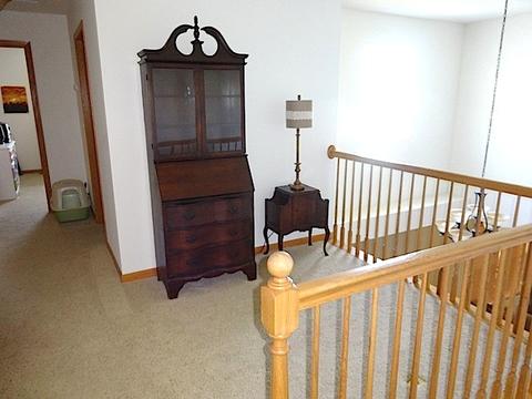 1306 Broadlawn Dr, Plainfield, IL 60586 photo 27