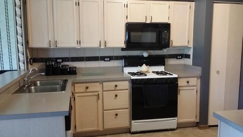 21317 W Conifer Dr, Plainfield, IL 60544 photo 5