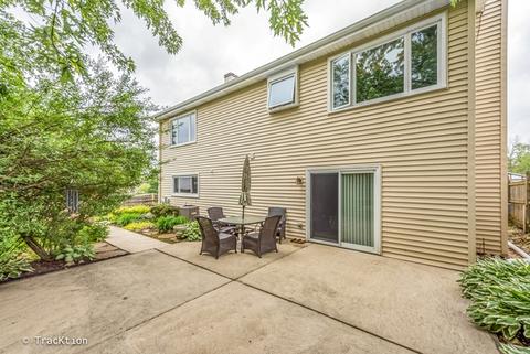 238 S Park Place Dr, Bartlett, IL 60103 photo 23
