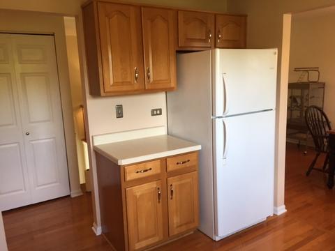 216 Burnside Cir, Bartlett, IL 60103 photo 5