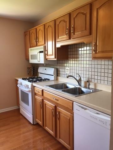 216 Burnside Cir, Bartlett, IL 60103 photo 4