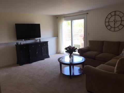 216 Burnside Cir, Bartlett, IL 60103 photo 10