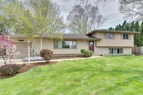 717 Carol Ave, Elgin, IL 60123 photo 1