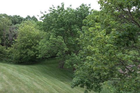 7 Brian Ct, Algonquin, IL 60102 photo 26
