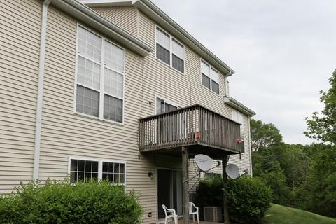 7 Brian Ct, Algonquin, IL 60102 photo 21