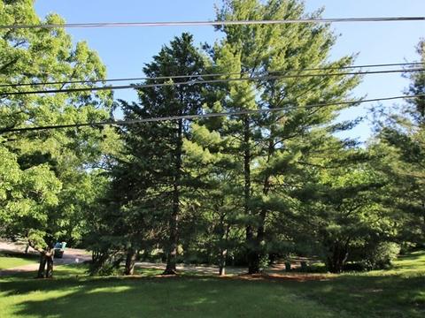 28631 W Benjamin Ave, Spring Grove, IL 60081 photo 44