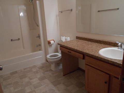 132 Pack Ct, Morris, IL 60450 photo 9