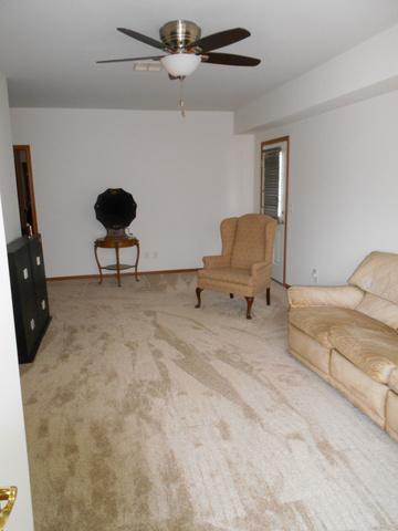 132 Pack Ct, Morris, IL 60450 photo 13