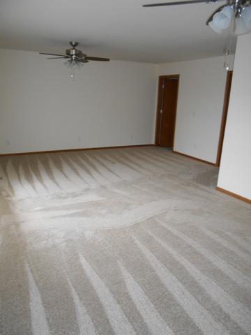 132 Pack Ct, Morris, IL 60450 photo 7