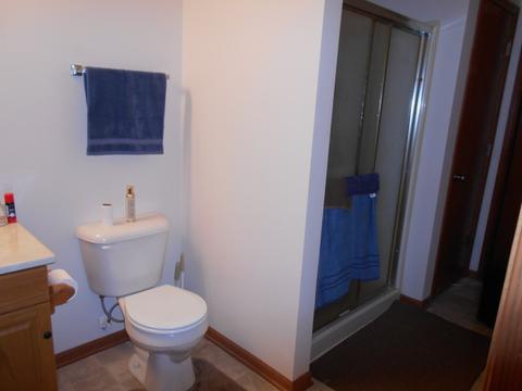 132 Pack Ct, Morris, IL 60450 photo 14