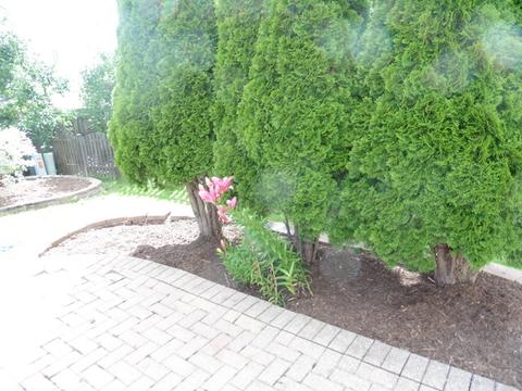 11665 Cape Cod Ln, Huntley, IL 60142 photo 18