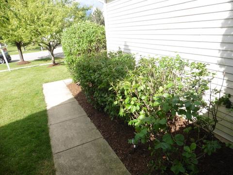 11665 Cape Cod Ln, Huntley, IL 60142 photo 23