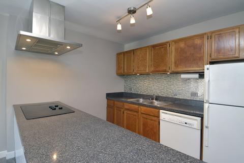 3275 Kirchoff Rd #332, Rolling Meadows, IL 60008 photo 3