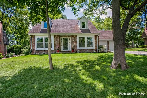 431 N Cardinal Ave, Addison, IL 60101 photo 39