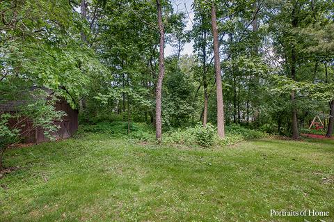431 N Cardinal Ave, Addison, IL 60101 photo 35