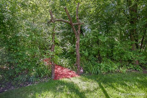 431 N Cardinal Ave, Addison, IL 60101 photo 37