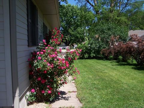 1014 Walnut St, Ottawa, IL 61350 photo 15