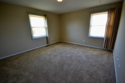 2916 Art Schultz Dr, Plainfield, IL 60586 photo 12