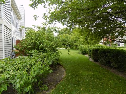 2031 Peach Tree Ln, Algonquin, IL 60102 photo 29