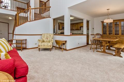 2031 Peach Tree Ln, Algonquin, IL 60102 photo 23