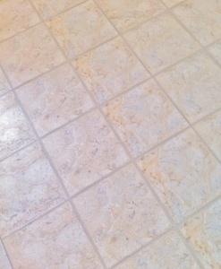 1321 N Hillside Ave, Berkeley, IL 60163 photo 8