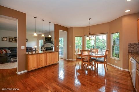237 Remington Dr, Bartlett, IL 60103 photo 10