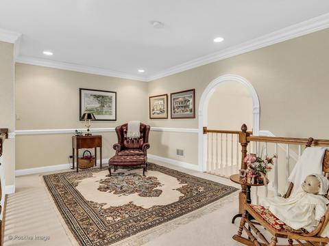 703 Kenmare Dr, Burr Ridge, IL 60527 photo 19