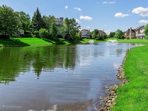 703 Kenmare Dr, Burr Ridge, IL 60527 photo 32