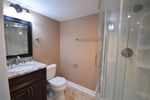 501 Walters Ln, Itasca, IL 60143 photo 20