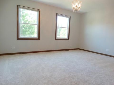 701 Roanoake Ct, Naperville, IL 60565 photo 20