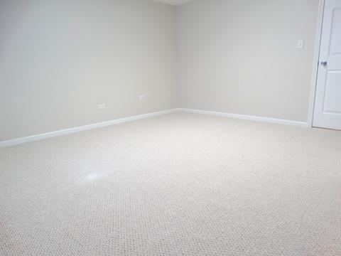 701 Roanoake Ct, Naperville, IL 60565 photo 27