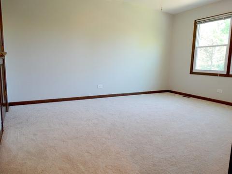 701 Roanoake Ct, Naperville, IL 60565 photo 19
