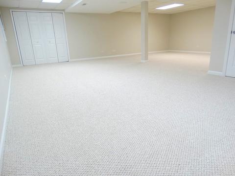 701 Roanoake Ct, Naperville, IL 60565 photo 26
