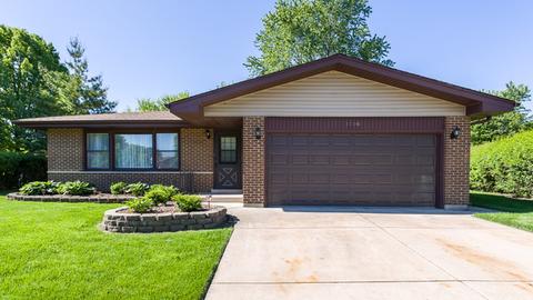 1196 Princeton Dr, Bartlett, IL 60103 photo 23