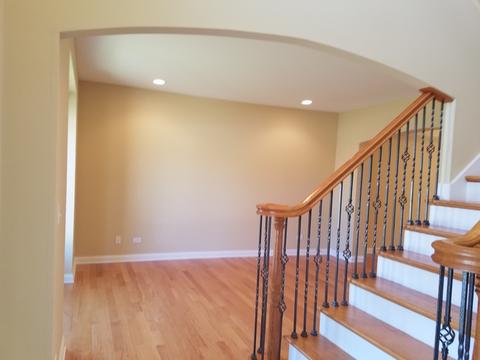 10 S362 Tim Ct, Willowbrook, IL 60527 photo 10