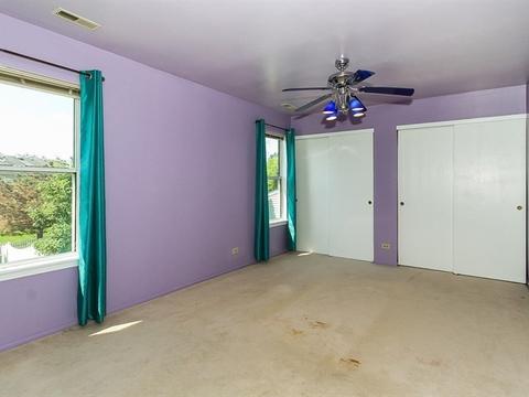 225 Dickens Trl, Elgin, IL 60120 photo 17