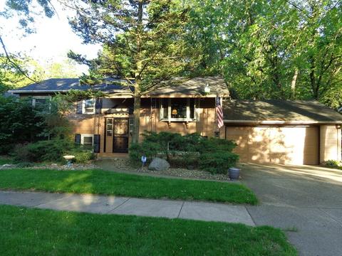 38 Chippewa Dr, Thornton, IL 60476 photo 1