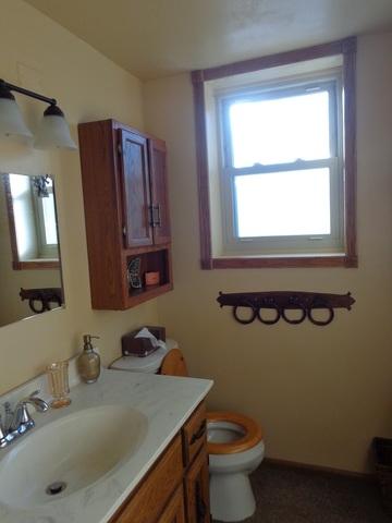 38 Chippewa Dr, Thornton, IL 60476 photo 23