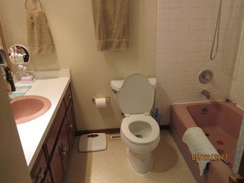 16962 S Plainsman Cir, Plainfield, IL 60586 photo 11