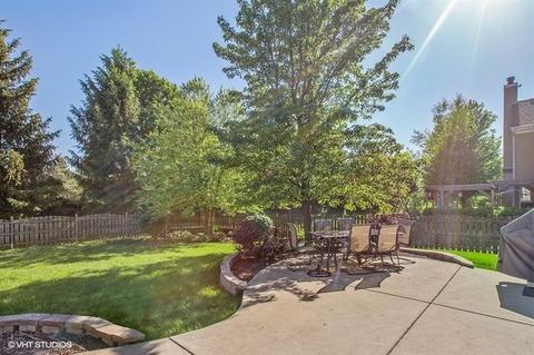1441 Richmond Ln, Algonquin, IL 60102 photo 20