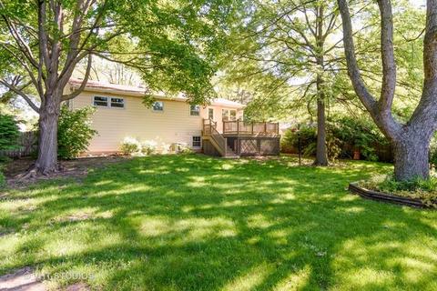 4501 Hoover St, Rolling Meadows, IL 60008 photo 15