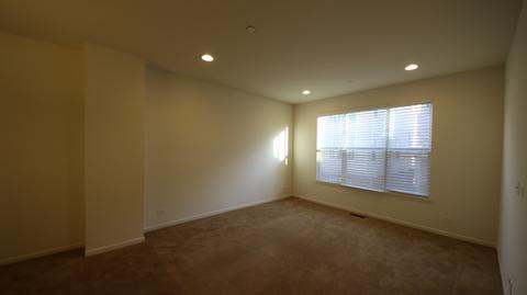 314 Wildflower St, Des Plaines, IL 60016 photo 9