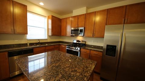 314 Wildflower St, Des Plaines, IL 60016 photo 7