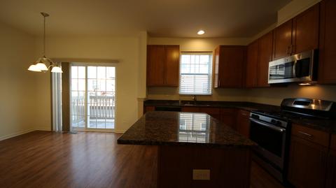 314 Wildflower St, Des Plaines, IL 60016 photo 6
