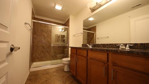 314 Wildflower St, Des Plaines, IL 60016 photo 16