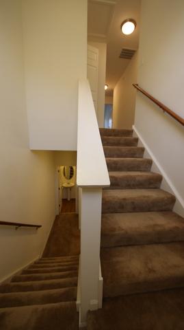 314 Wildflower St, Des Plaines, IL 60016 photo 13